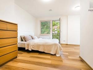 Prodej kanceláře, Brno, Obecní, 287 m2