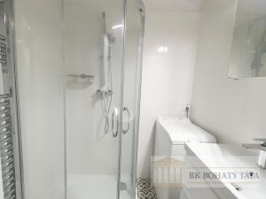 Pronájem bytu 2+1, Praha - Vinohrady, Koubkova, 65 m2