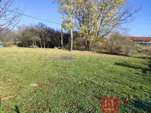 Prodej zahrady, Božice, 1119 m2