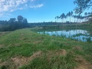 Pronájem rybníku, Komárovice, 9025 m2