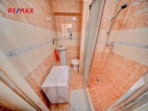 Pronájem bytu 1+kk, Kolín, Dělnická, 20 m2