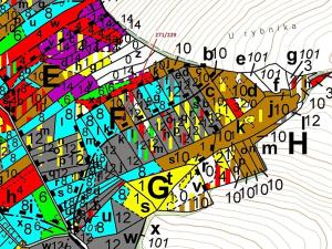 Dražba lesa, Milavče, 3695 m2