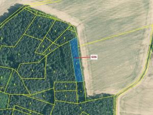 Dražba lesa, Kuřimany, 2526 m2