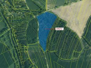 Dražba lesa, Římov, 52265 m2