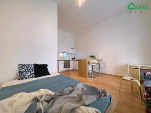 Pronájem bytu 1+kk, Brno, Běhounská, 31 m2