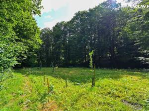 Prodej chalupy, Paseka, 116 m2