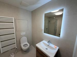 Pronájem bytu 2+kk, Pohořelice, U Kasáren, 55 m2