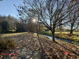 Pronájem atypického bytu, Rychnov nad Kněžnou, Na Jamách, 42 m2