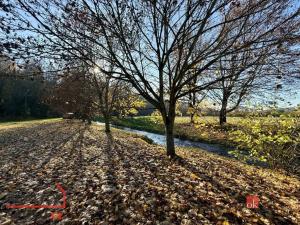 Pronájem atypického bytu, Rychnov nad Kněžnou, Na Jamách, 42 m2