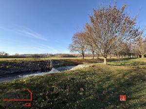 Pronájem atypického bytu, Rychnov nad Kněžnou, Na Jamách, 42 m2