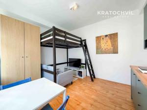 Pronájem bytu 1+kk, Praha - Karlín, Thámova, 24 m2