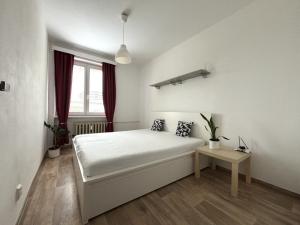 Pronájem bytu 2+1, Plzeň - Východní Předměstí, U Prazdroje, 52 m2