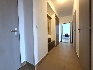 Pronájem bytu 2+1, Plzeň - Východní Předměstí, U Prazdroje, 52 m2