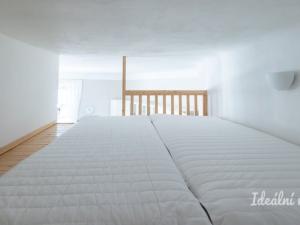 Pronájem bytu 2+kk, Praha - Vinohrady, Na Kozačce, 52 m2