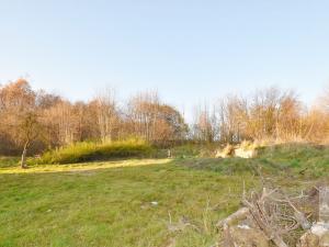 Prodej rodinného domu, Mikulášovice, 160 m2