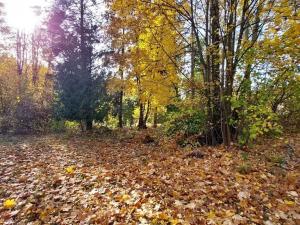 Prodej pozemku pro bydlení, Kamenice, K Dubu, 1126 m2