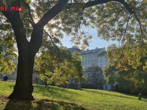 Prodej bytu 2+kk, Praha - Žižkov, Radhošťská, 50 m2