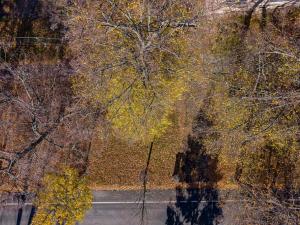 Prodej pozemku pro bydlení, Olomouc, Selské nám., 1038 m2