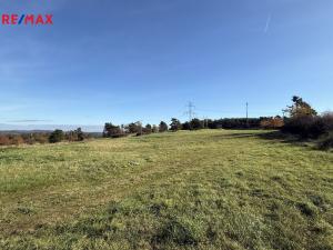 Prodej louky, Nečín, 16453 m2