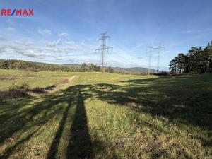 Prodej louky, Nečín, 16453 m2