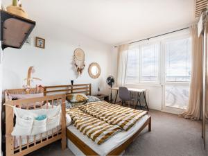 Pronájem bytu 3+1, České Budějovice - České Budějovice 3, Zachariášova, 66 m2