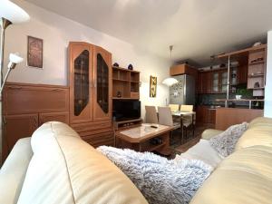 Pronájem bytu 2+kk, Plzeň, Goldscheiderova, 50 m2