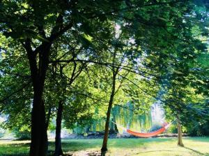 Prodej vícegeneračního domu, Třebušín, 750 m2