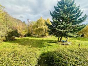 Prodej vícegeneračního domu, Třebušín, 750 m2