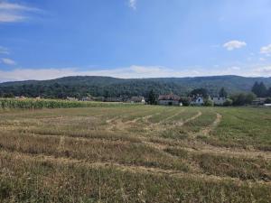 Prodej pozemku pro bydlení, Lety, Prostřední, 6873 m2