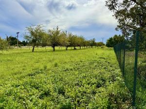 Prodej pozemku pro bydlení, Dřevohostice, Zámecká, 1000 m2