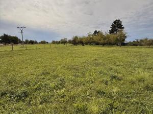 Prodej pozemku pro bydlení, Dřevohostice, Zámecká, 1000 m2