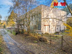 Prodej komerčního pozemku, Havlovice, 7312 m2