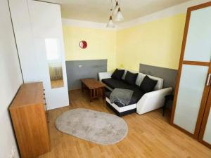 Pronájem bytu 1+1, Ostrava - Mariánské Hory, Vršovců, 30 m2