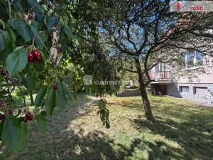 Prodej rodinného domu, Dolní Kralovice, Přísecká, 200 m2