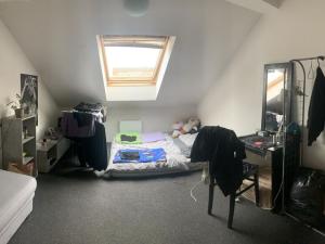 Pronájem bytu 2+1, Brno - Veveří, Údolní, 62 m2