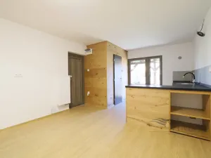 Pronájem bytu 1+1, České Budějovice - České Budějovice 5, Krokova, 33 m2