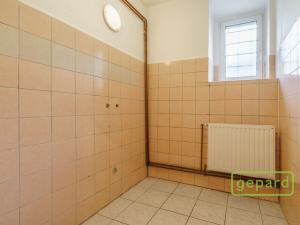 Prodej obchodního prostoru, Karlovy Vary, Rohová, 120 m2