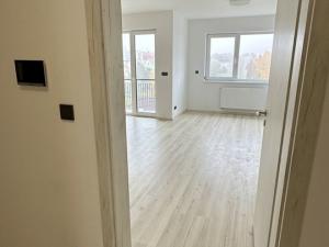 Pronájem bytu 1+kk, Plzeň, Pilařská, 42 m2