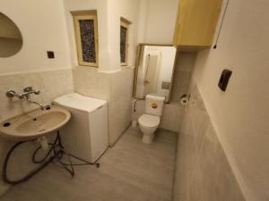 Pronájem bytu 1+kk, Pardubice, Sezemická, 28 m2