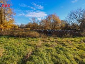 Prodej zemědělského objektu, Jistebnice, Tisová, 2319 m2