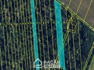 Prodej lesa, Pňovice, 10670 m2