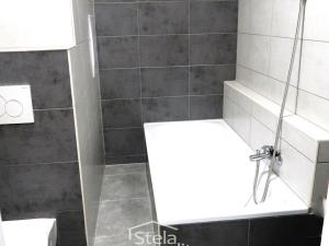 Pronájem bytu 1+1, Bruntál, U Rybníka, 35 m2