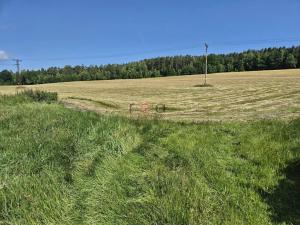 Prodej pozemku pro bydlení, Cvikov, 1725 m2