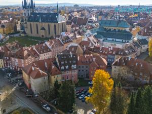 Prodej obchodního prostoru, Cheb, Cechovní, 100 m2