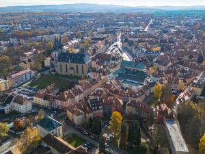 Prodej obchodního prostoru, Cheb, Cechovní, 100 m2