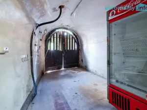 Prodej obchodního prostoru, Cheb, Cechovní, 100 m2