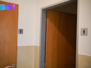 Pronájem kanceláře, Praha, Žerotínova, 17 m2