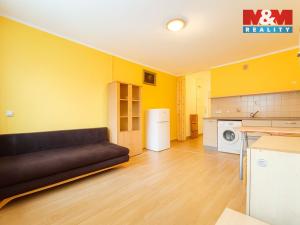 Prodej bytu 1+kk, Nová Role, Nádražní, 24 m2