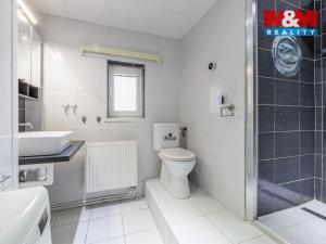 Prodej bytu 1+kk, Svatava, Palackého, 33 m2