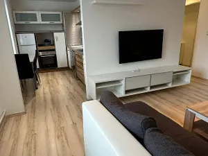 Prodej bytu 2+kk, Ostrava, Krasnoarmejců, 55 m2